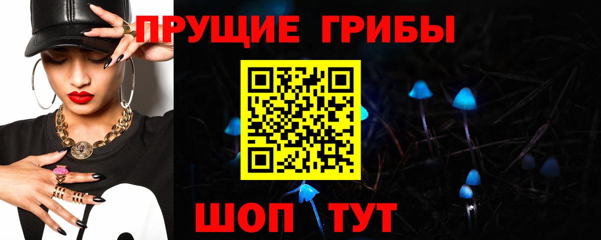 Галлюциногенные грибы Cubensis Заводоуковск